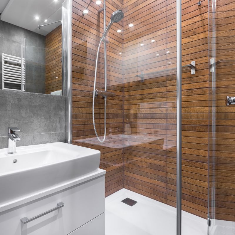 Modern Shower with Glass Panel